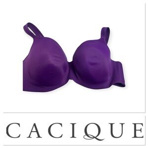 Cacique purple bra with size 40DD